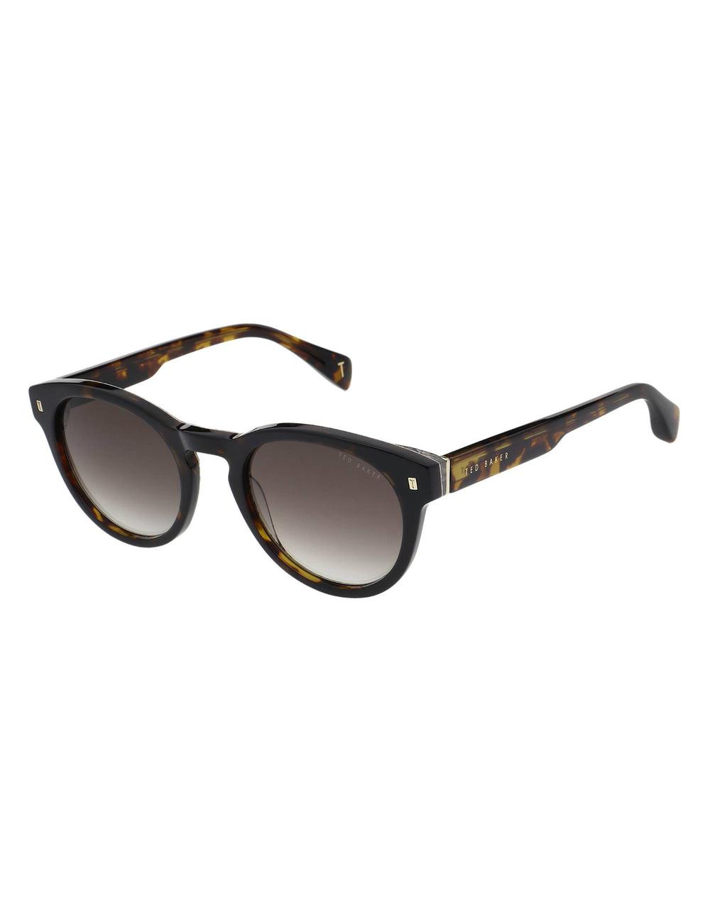 Brown Ted Baker DAX - Round Chunky Temple Men Sunglasses | Ireland  5128-WTUOM