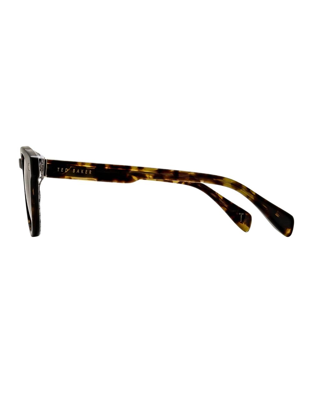 Brown Ted Baker DAX - Round Chunky Temple Men Sunglasses | Ireland  5128-WTUOM