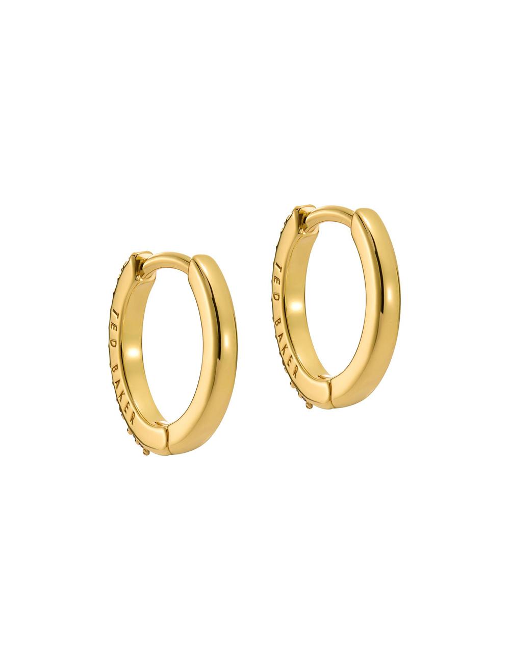 Multicol Ted Baker HEPLIE - Crystal Huggie Hoop Women Earrings | Ireland  8715-HUCER