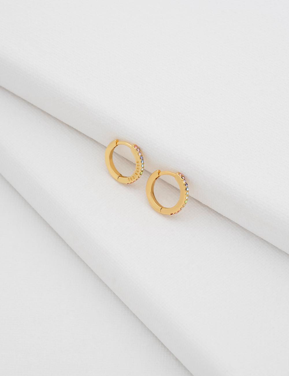 Multicol Ted Baker HEPLIE - Crystal Huggie Hoop Women Earrings | Ireland  8715-HUCER